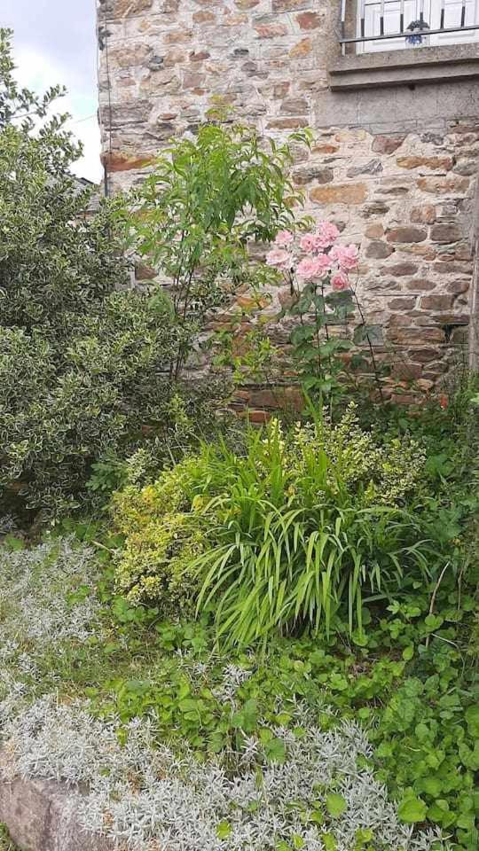 Casa Do Hiebra Alojamiento Rural Ribeira Sacra Castroncelos Eksteriør bilde
