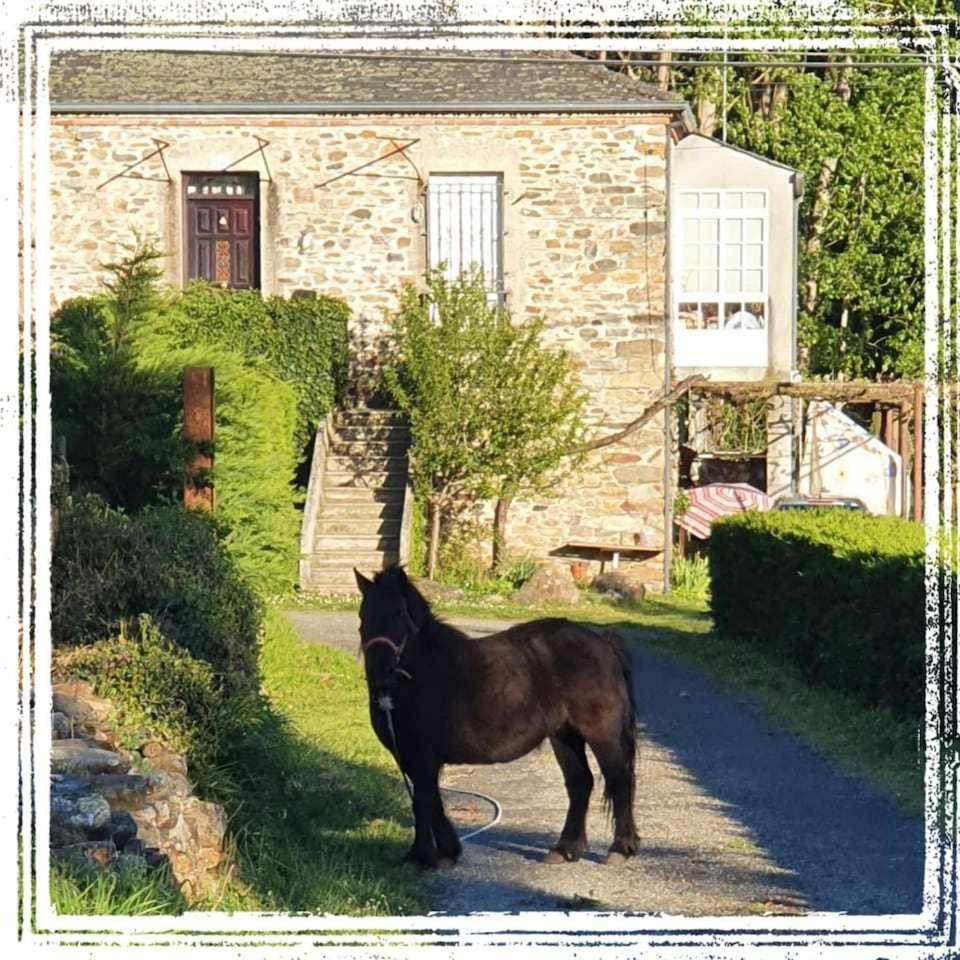 Casa Do Hiebra Alojamiento Rural Ribeira Sacra Castroncelos Eksteriør bilde