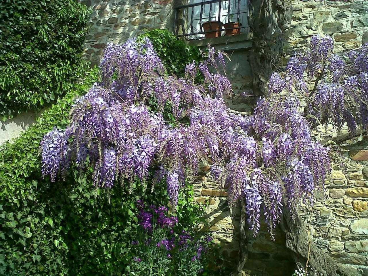 Casa Do Hiebra Alojamiento Rural Ribeira Sacra Castroncelos Eksteriør bilde